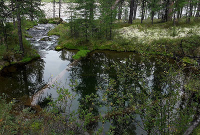 Река
