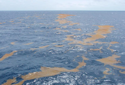 самое большое море в мире